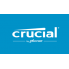 CRUCIAL (1)